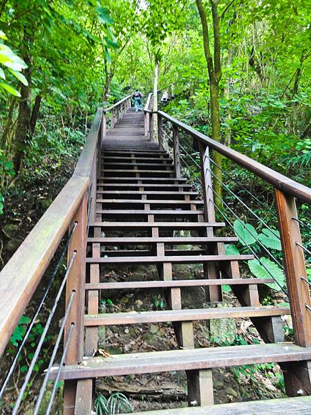 DSC01311.JPG DSC01311.JPG