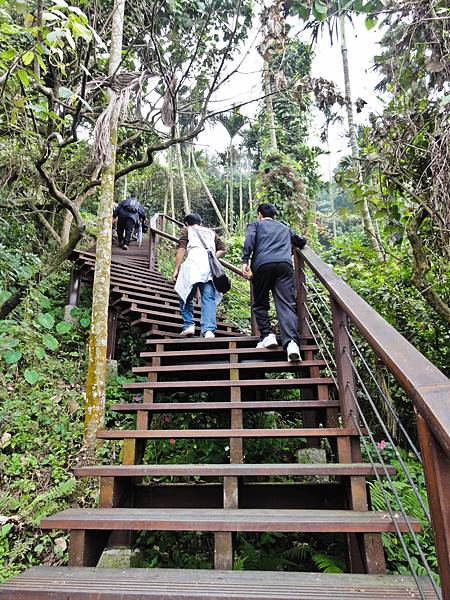 DSC01313.JPG DSC01313.JPG