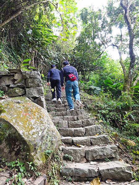 DSC01316.JPG DSC01316.JPG