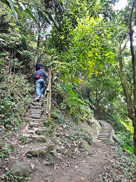 DSC01317.JPG DSC01317.JPG