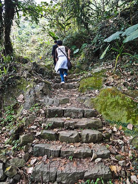 DSC01323.JPG DSC01323.JPG