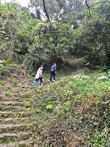 DSC01324.JPG DSC01324.JPG