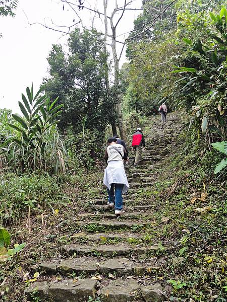 DSC01331.JPG DSC01331.JPG