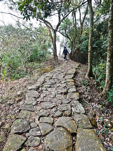 DSC01335.JPG DSC01335.JPG