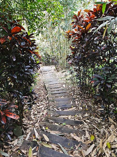 DSC01349.JPG DSC01349.JPG