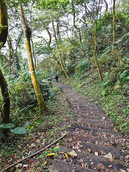 DSC01352.JPG DSC01352.JPG