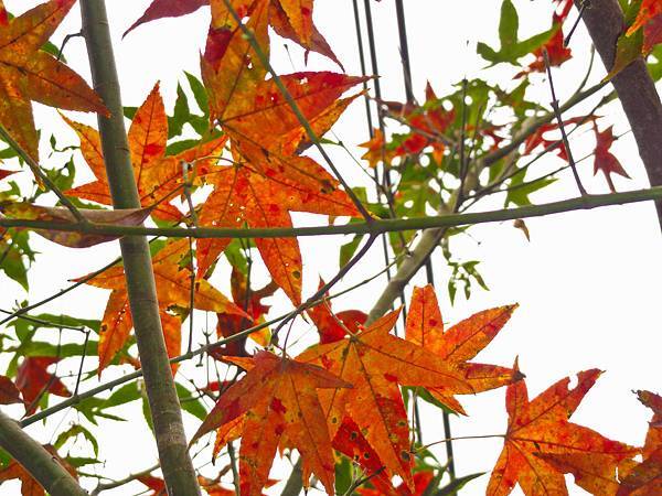 DSC01346.JPG DSC01346.JPG