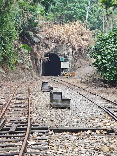 DSC01362.JPG DSC01362.JPG