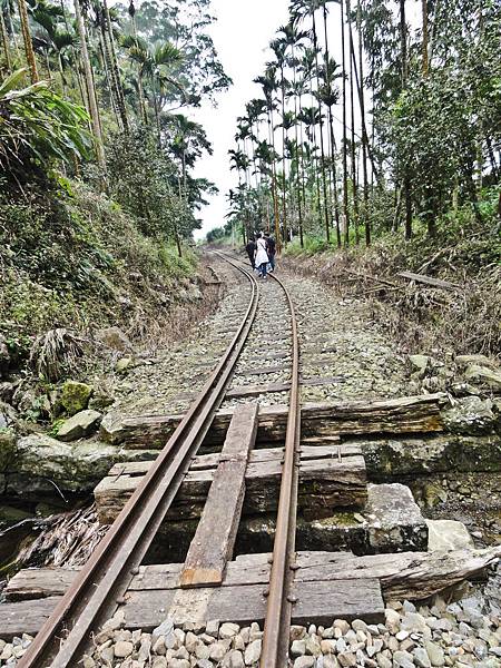 DSC01368.JPG DSC01368.JPG