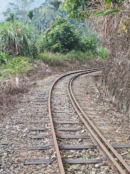 DSC01371.JPG DSC01371.JPG