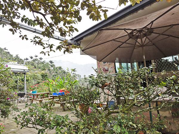 DSC01375.JPG DSC01375.JPG