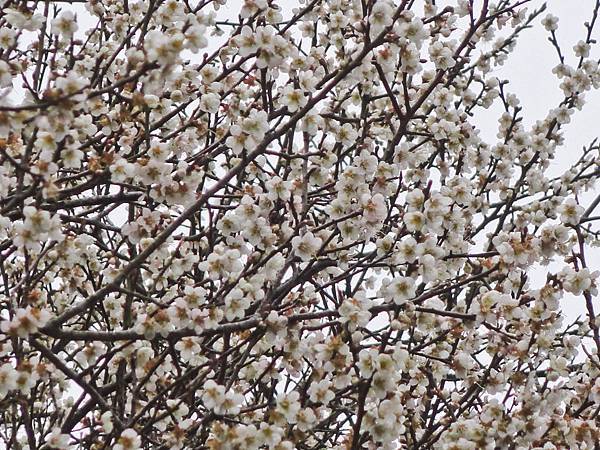 DSC01389.JPG DSC01389.JPG