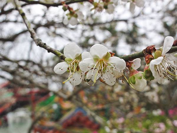 DSC01401.JPG DSC01401.JPG