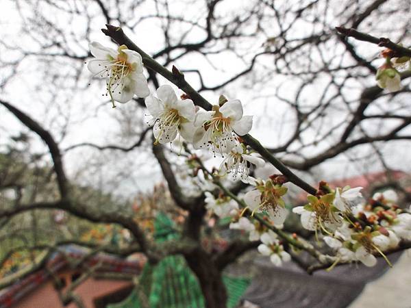 DSC01403.JPG DSC01403.JPG