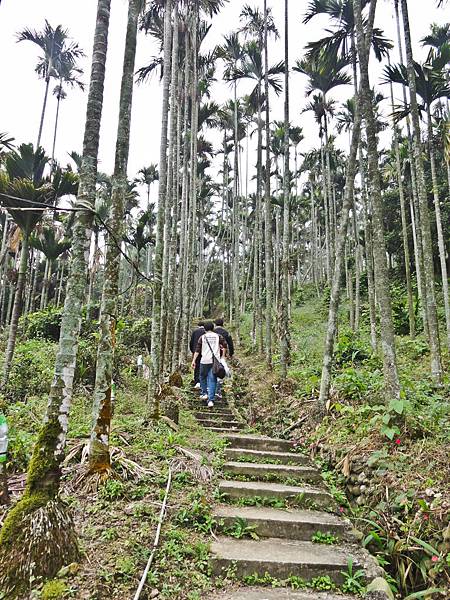 DSC01405.JPG DSC01405.JPG