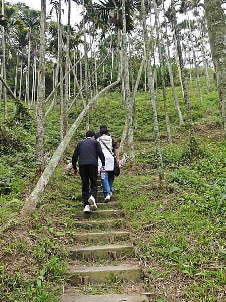 DSC01409.JPG DSC01409.JPG