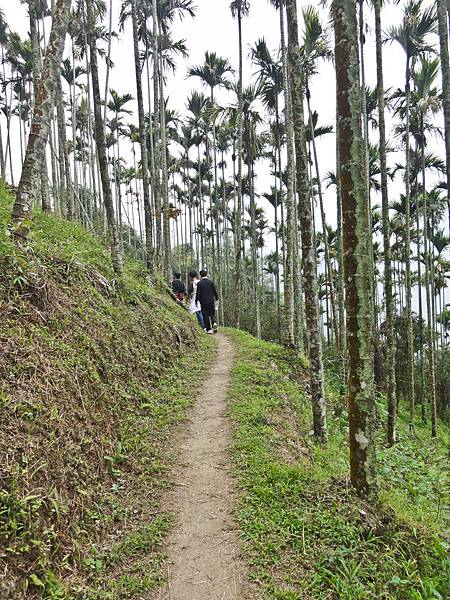 DSC01410.JPG DSC01410.JPG