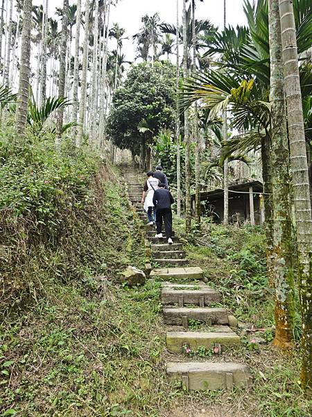 DSC01413.JPG DSC01413.JPG