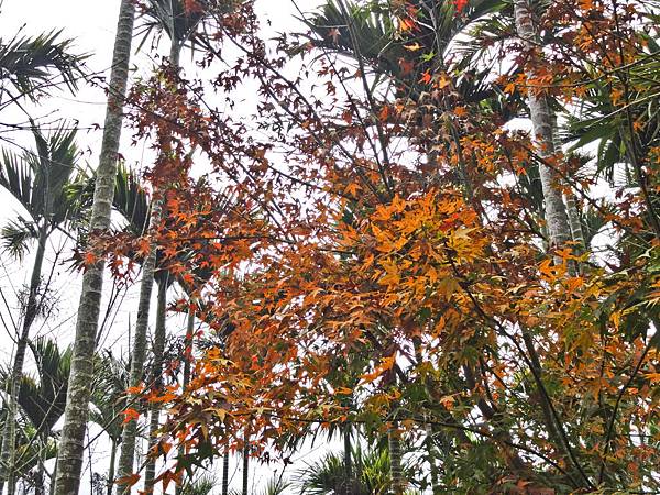 DSC01415.JPG DSC01415.JPG