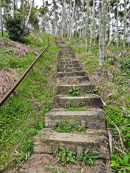 DSC01418.JPG DSC01418.JPG