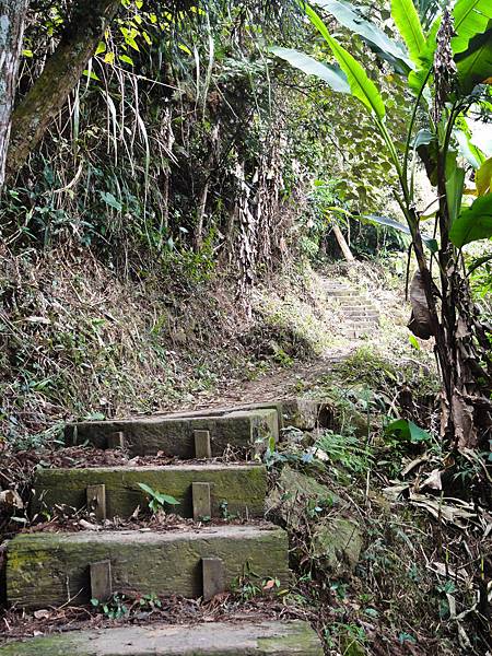 DSC01422.JPG DSC01422.JPG