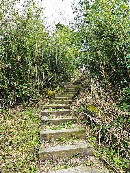 DSC01428.JPG DSC01428.JPG