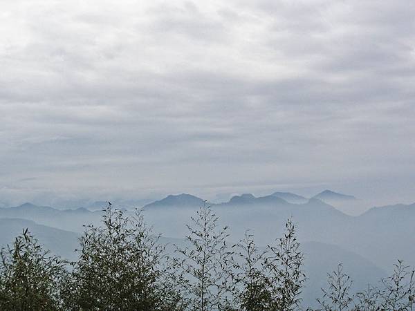 DSC01429.JPG DSC01429.JPG