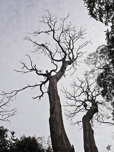 DSC01435.JPG DSC01435.JPG