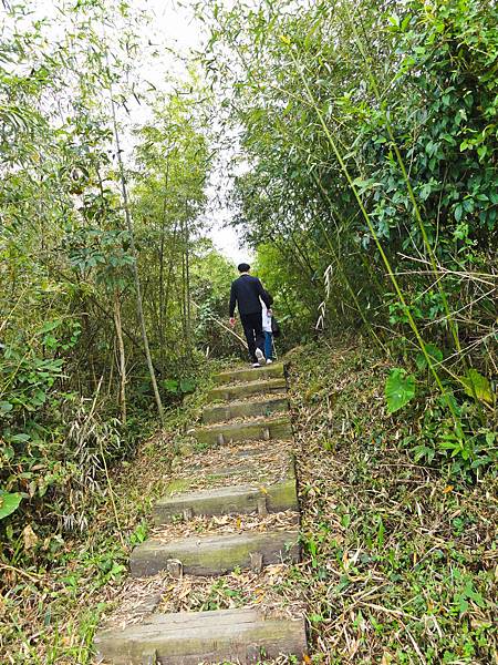 DSC01431.JPG DSC01431.JPG