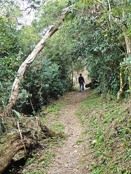 DSC01436.JPG DSC01436.JPG