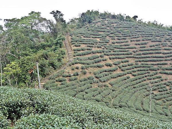 DSC01441.JPG DSC01441.JPG