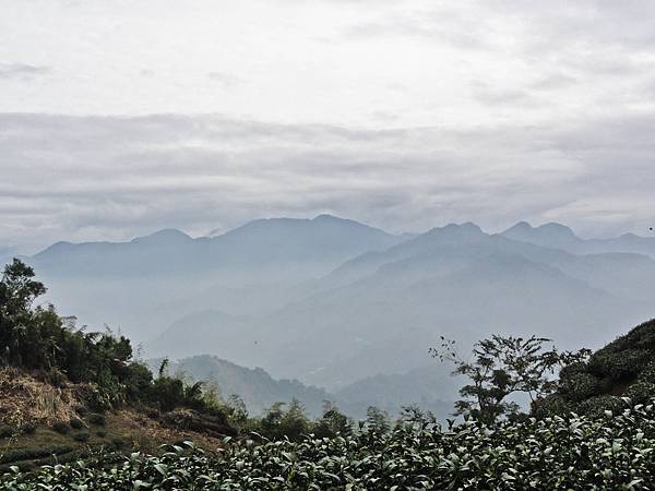 DSC01443.JPG DSC01443.JPG