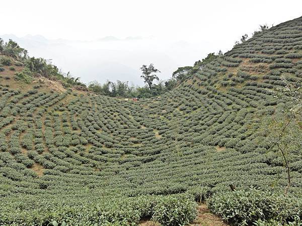 DSC01448.JPG DSC01448.JPG