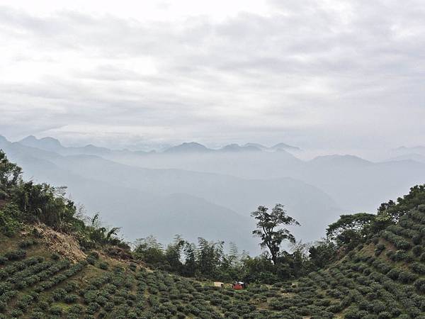 DSC01449.JPG DSC01449.JPG