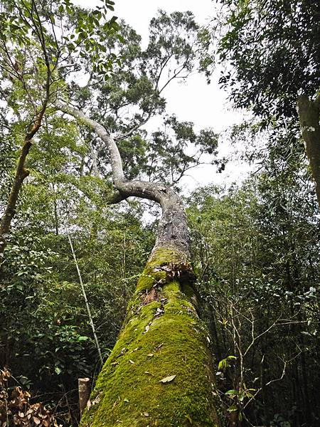 DSC01455.JPG DSC01455.JPG