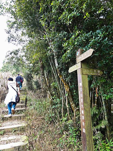 DSC01456.JPG DSC01456.JPG