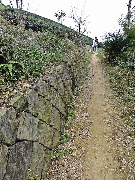 DSC01459.JPG DSC01459.JPG