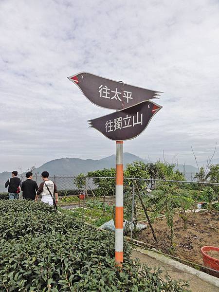 DSC01460.JPG DSC01460.JPG