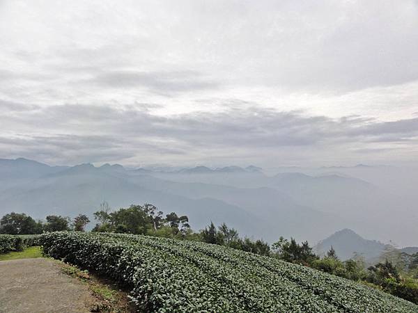 DSC01464.JPG DSC01464.JPG