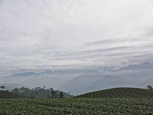 DSC01467.JPG DSC01467.JPG