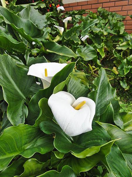 DSC01471.JPG DSC01471.JPG