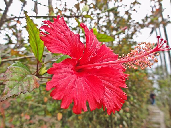 DSC01472.JPG DSC01472.JPG