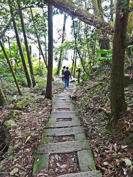 DSC01473.JPG DSC01473.JPG