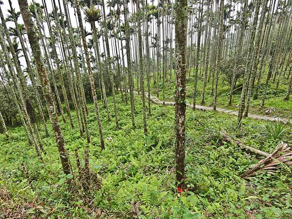 DSC01475.JPG DSC01475.JPG