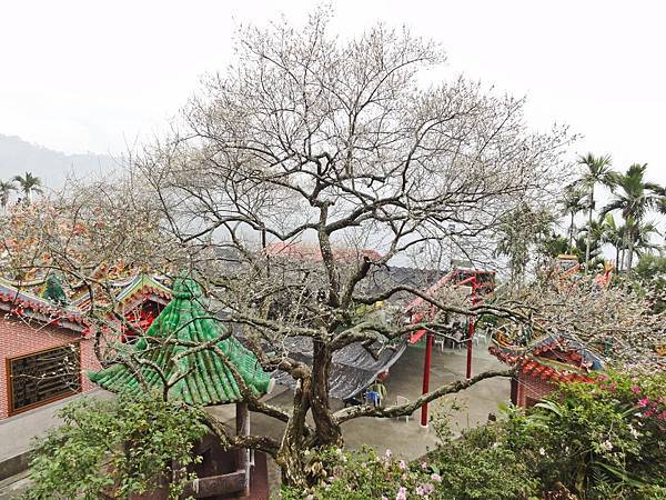 DSC01476.JPG DSC01476.JPG