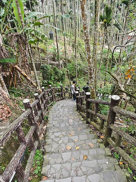 DSC01481.JPG DSC01481.JPG