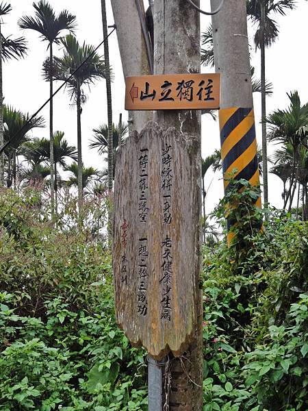 DSC01486.JPG DSC01486.JPG