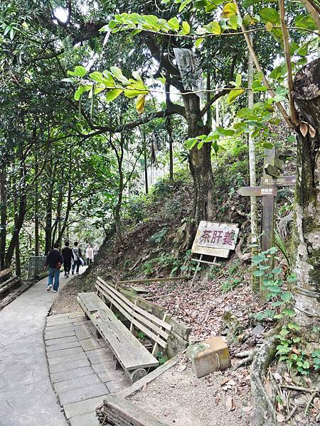 DSC01487.JPG DSC01487.JPG