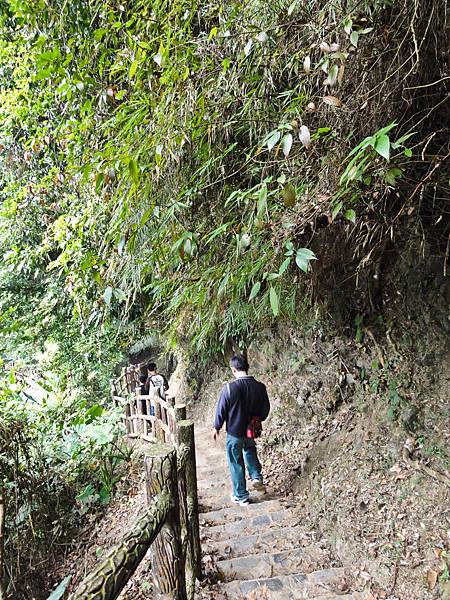 DSC01490.JPG DSC01490.JPG