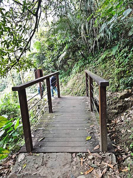 DSC01493.JPG DSC01493.JPG